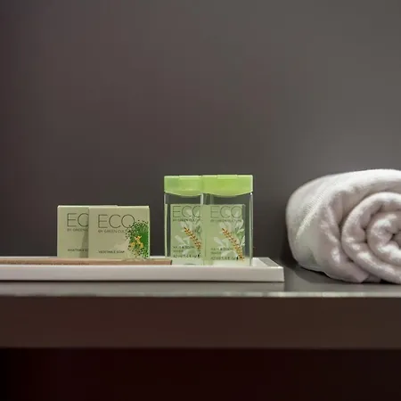 皮尔舒特加尼酒店 4*